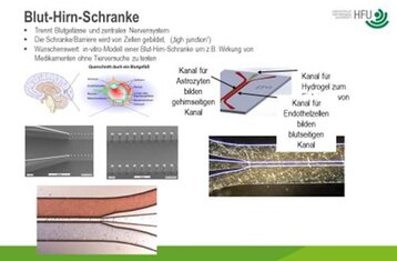 You can see an overview slide with various images of the blood-brain barrier